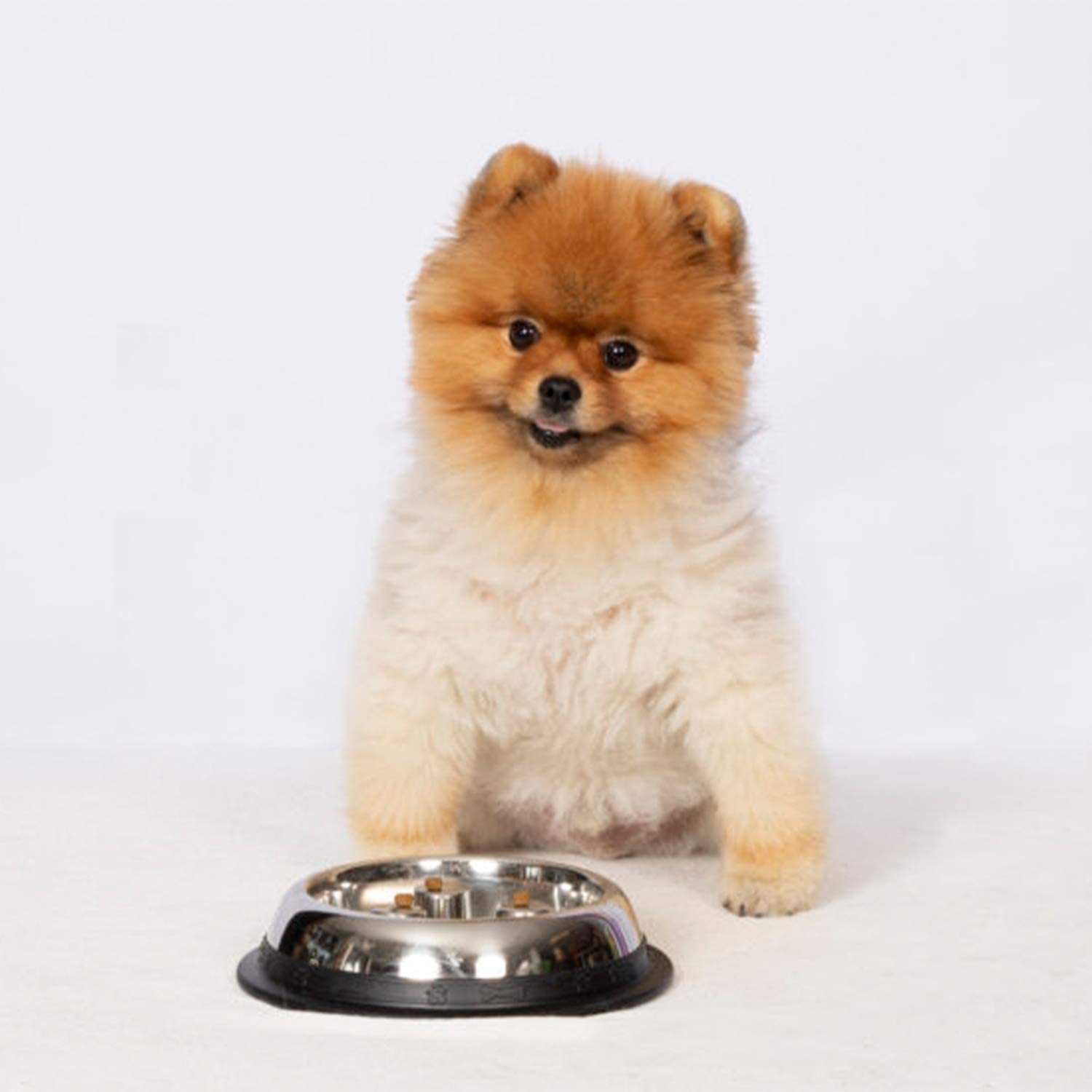 不锈钢狗碗猫碗大号防滑防噎慢食宠物碗 中大型犬缓食盆