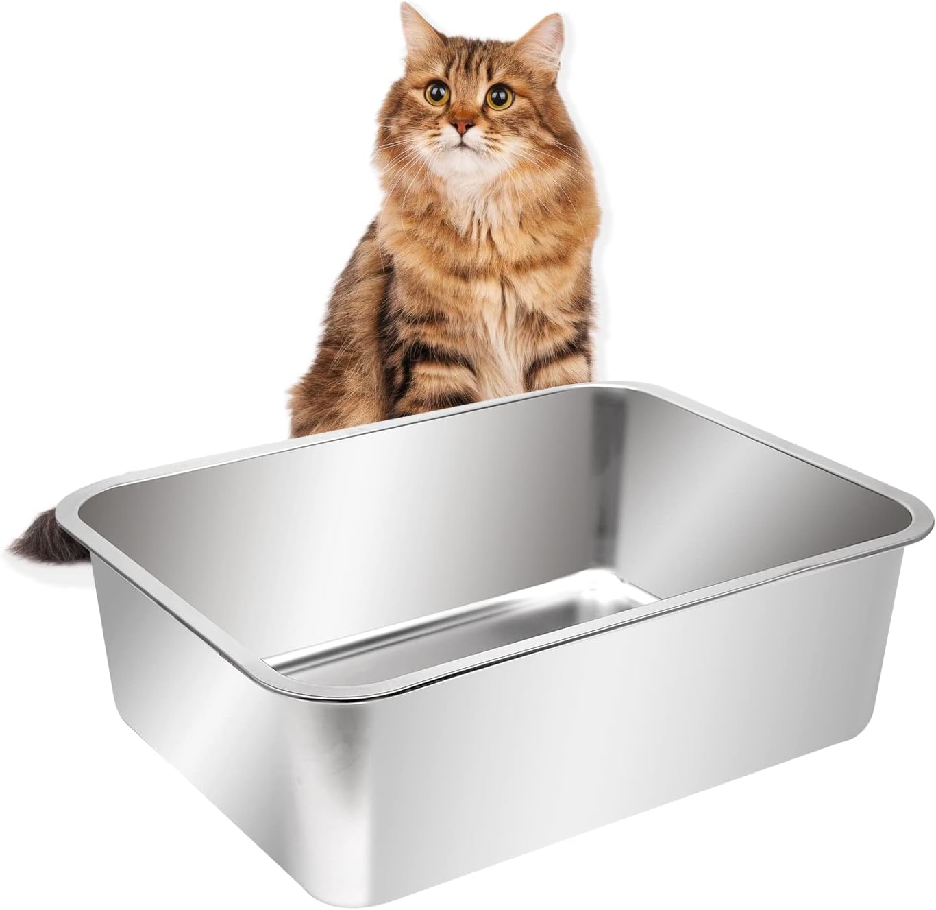  Extra Large Stainless Steel Open Cat Litter Box with High Sides