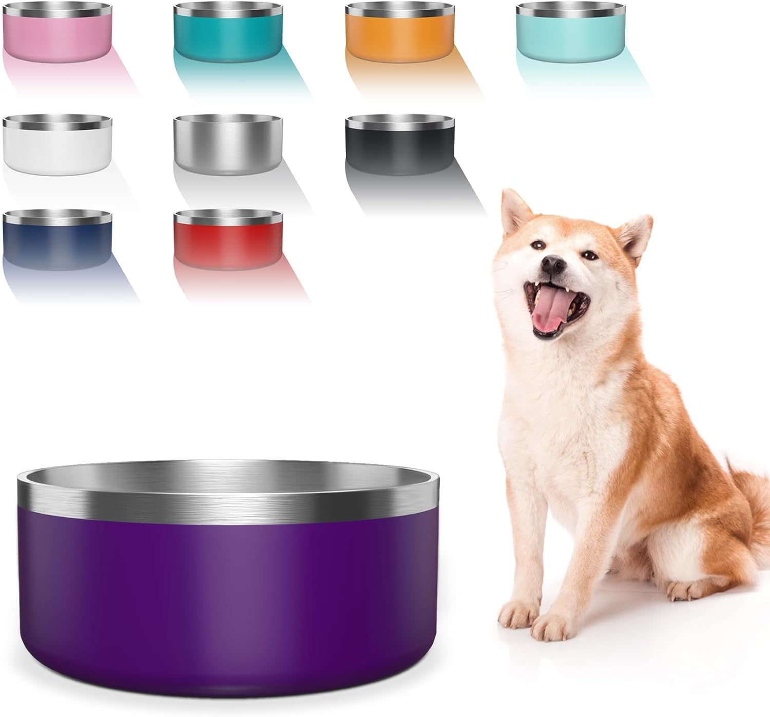 Dog Food and Water Bowl